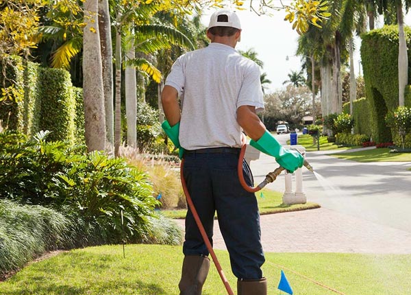 About Fort Oglethorpe GA Pest Control Pros